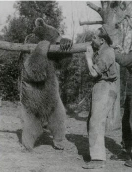 Wojtek - Polish Soldier Bear